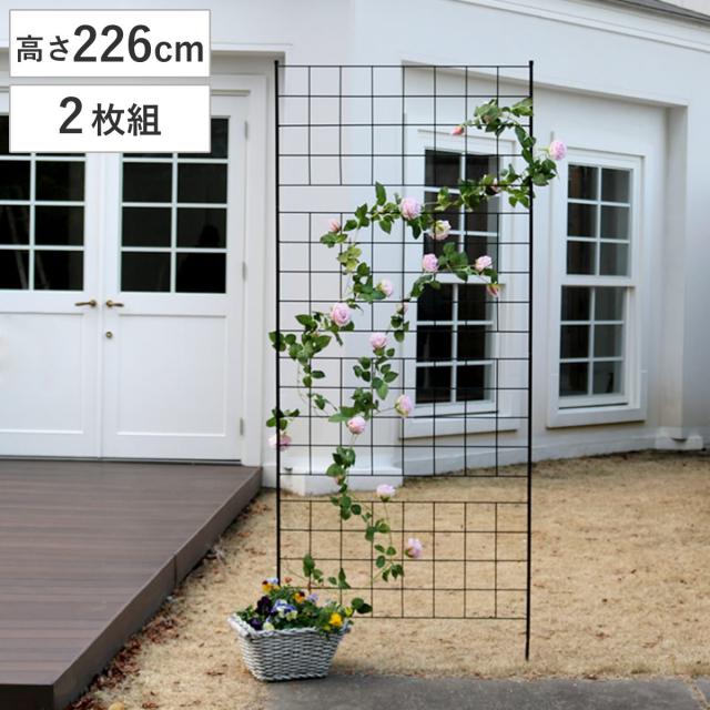 フェンス アイアンフェンス 高さ226cm グラフシリーズ 2枚組 （ ガーデンフェンス インテリア ガーデニング雑貨 アンティーク おしゃれ ガーデニング スチール ディスプレイ オブジェ 置物 庭 ガーデングッズ ）