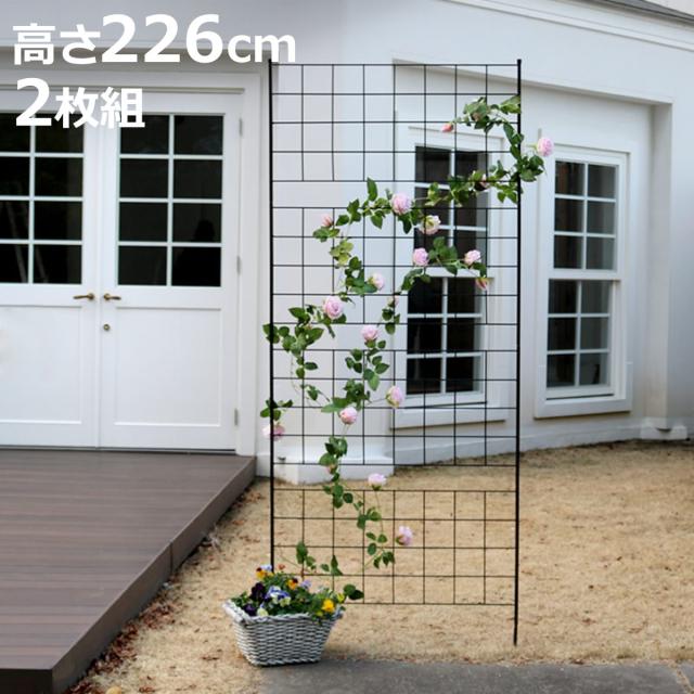 フェンス アイアンフェンス 高さ226cm グラフシリーズ 2枚組 （ ガーデンフェンス インテリア ガーデニング雑貨 アンティーク おしゃれ ガーデニング スチール ディスプレイ オブジェ 置物 庭 ガーデングッズ ）の通販は