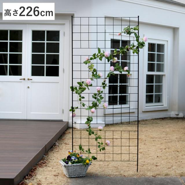 フェンス アイアンフェンス 高さ226cm グラフシリーズ （ ガーデンフェンス インテリア ガーデニング雑貨 アンティーク おしゃれ ガーデニング スチール ディスプレイ オブジェ 置物 庭 ガーデングッズ ）