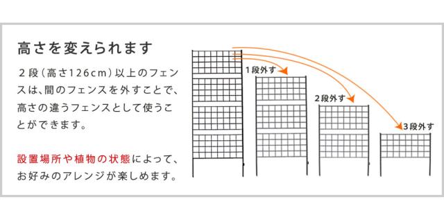 フェンス アイアンフェンス 高さ226cm グラフシリーズ （ ガーデンフェンス インテリア ガーデニング雑貨 アンティーク おしゃれ ガーデニング スチール ディスプレイ オブジェ 置物 庭 ガーデングッズ ）_12