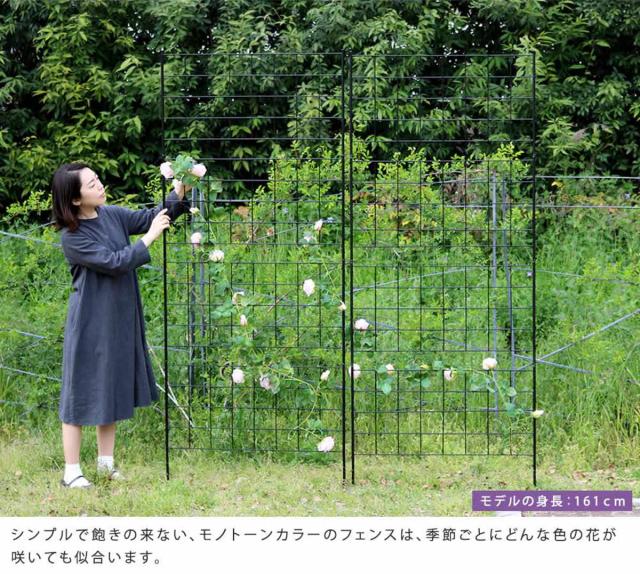 フェンス アイアンフェンス 高さ226cm グラフシリーズ （ ガーデンフェンス インテリア ガーデニング雑貨 アンティーク おしゃれ ガーデニング スチール ディスプレイ オブジェ 置物 庭 ガーデングッズ ）_7