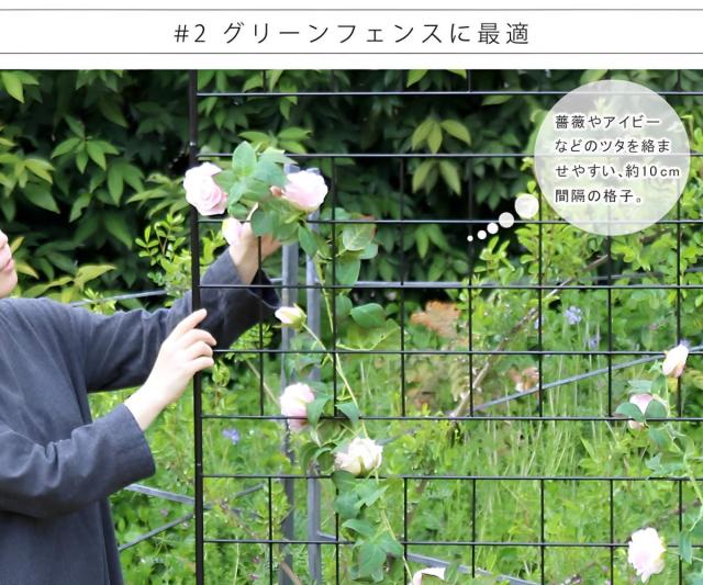 フェンス アイアンフェンス 高さ226cm グラフシリーズ （ ガーデンフェンス インテリア ガーデニング雑貨 アンティーク おしゃれ ガーデニング スチール ディスプレイ オブジェ 置物 庭 ガーデングッズ ）_9