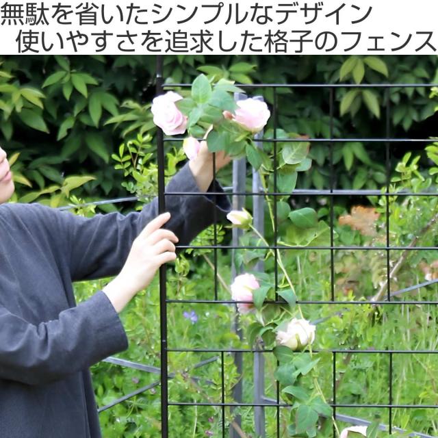 フェンス アイアンフェンス 高さ176cm グラフシリーズ （ ガーデンフェンス インテリア ガーデニング雑貨 アンティーク おしゃれ ガーデニング スチール ディスプレイ オブジェ 置物 庭 ガーデングッズ ）_1