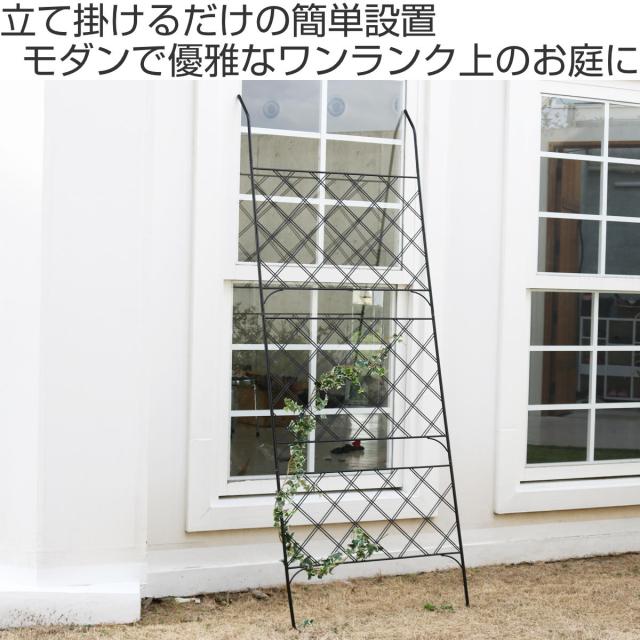 グリーンカーテン アイアン製グリーンカーテン アーガイル （ グリーンフェンス グリーン カーテン フェンス ガーデンフェンス おしゃれ ガーデニング スチール 緑のカーテン 庭 ガーデングッズ インテリア ガーデニング雑貨 ）_1