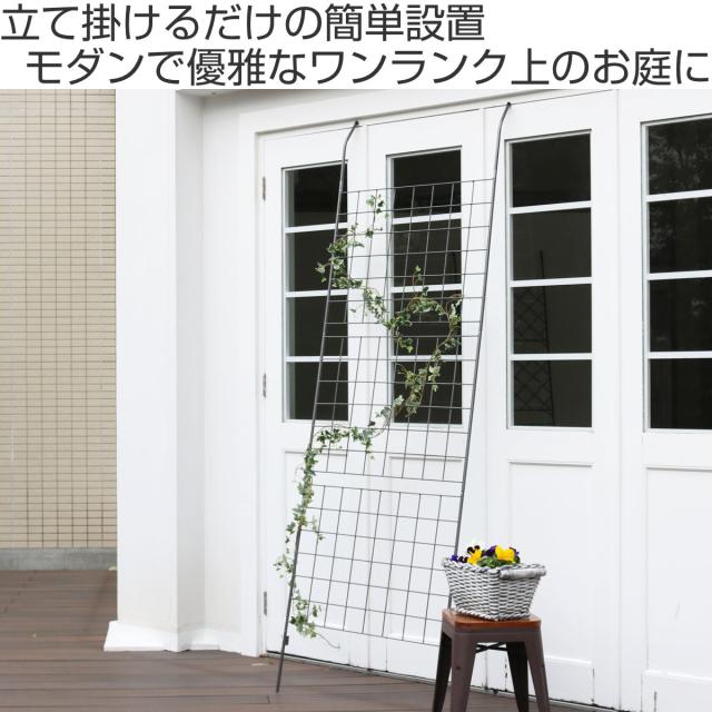 グリーンカーテン アイアン製グリーンカーテン グラフ （ グリーンフェンス グリーン カーテン フェンス ガーデンフェンス おしゃれ ガーデニング スチール 緑のカーテン 庭 ガーデングッズ インテリア ガーデニング雑貨 ）_1