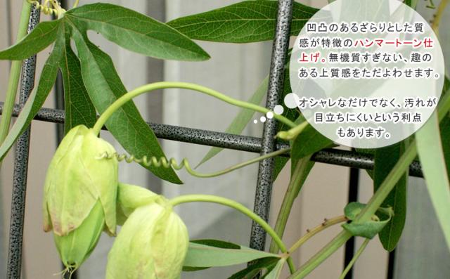 グリーンカーテン アイアン製グリーンカーテン グラフ （ グリーンフェンス グリーン カーテン フェンス ガーデンフェンス おしゃれ ガーデニング スチール 緑のカーテン 庭 ガーデングッズ インテリア ガーデニング雑貨 ）_5