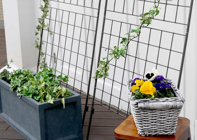 豪華絢爛 宝泉作 金襴手 青海波丸紋 平蓋碗 10客 有田焼