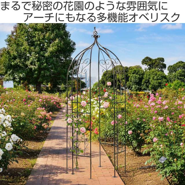 アーチ アイアンハーフアーチオベリスクキット （ ガーデンフェンス ハーフアーチ フェンス アイアン 柵 園芸 エクステリア 雑貨 花壇 庭 ベランダ バルコニー ガーデニング アイアンガーデンフェンス オベリスク ）_1
