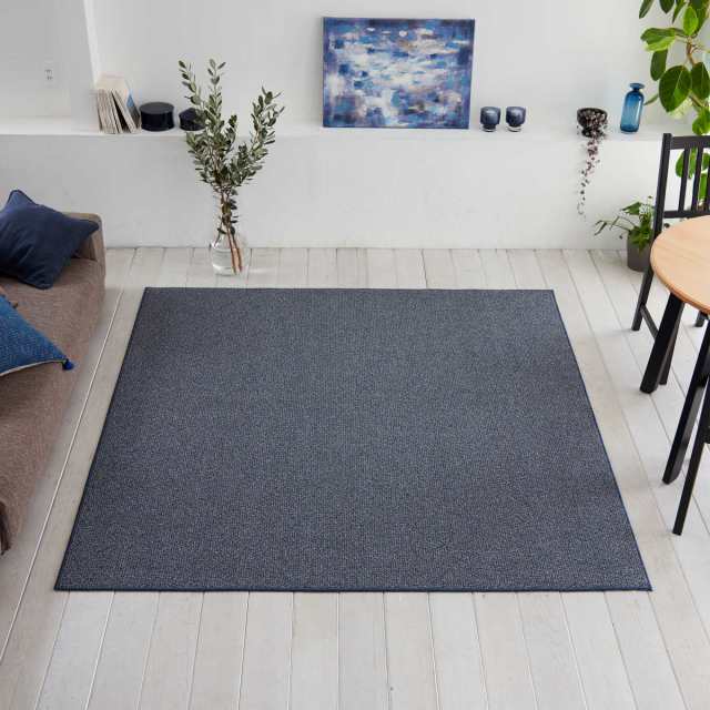 ラグ スミノエ フォルテ 130×190cm 防ダニ アレルブロック （ ラグマット カーペット 絨毯 マット 機能ラグ 長方形 1.5畳 リビングマット アクセントラグ 滑り止め ホットカーペット 床暖 対応 オールシーズン 日本製 ）の通販は