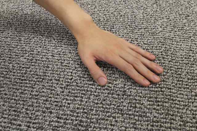 ラグ スミノエ フォルテ 130×190cm 防ダニ アレルブロック （ ラグマット カーペット 絨毯 マット 機能ラグ 長方形 1.5畳 リビングマット アクセントラグ 滑り止め ホットカーペット 床暖 対応 オールシーズン 日本製 ）の通販は
