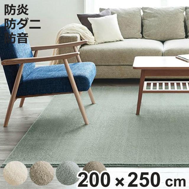 ラグ カーペット 3畳 スミノエ カーム 200×250cm （ 絨毯 マット ラグマット 長方形 床暖対応 防ダニ加工 防炎加工 フォースター メディカルサイレンス 防炎 日本製 床暖 ホットカーペット 対応 すべり止め インテリア ）の通販は