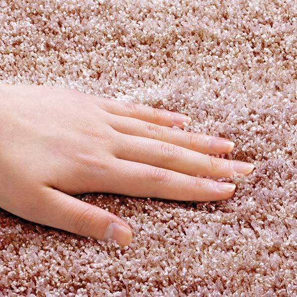 ラグ スミノエ リュストル 200×300cm 防炎 防ダニ 床暖房対応 （ ラグマット カーペット 絨毯 じゅうたん 長方形 マット 床暖対応 床暖 防ダニ加工 防炎加工 フォースター ホットカーペット対応 滑り止め 肌に優しい ）_4