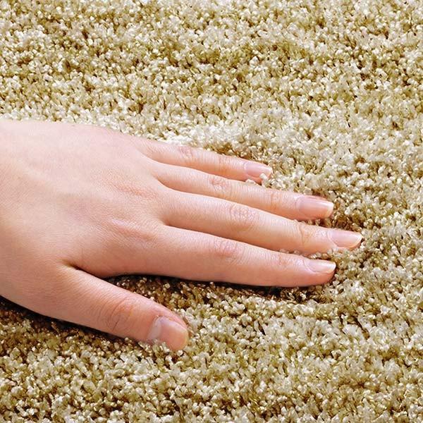ラグ スミノエ リュストル 261×352cm 防炎 防ダニ 床暖房対応 （ ラグマット カーペット 絨毯 じゅうたん 長方形 マット 床暖対応 床暖 防ダニ加工 防炎加工 フォースター ホットカーペット対応 滑り止め 肌に優しい ）_5