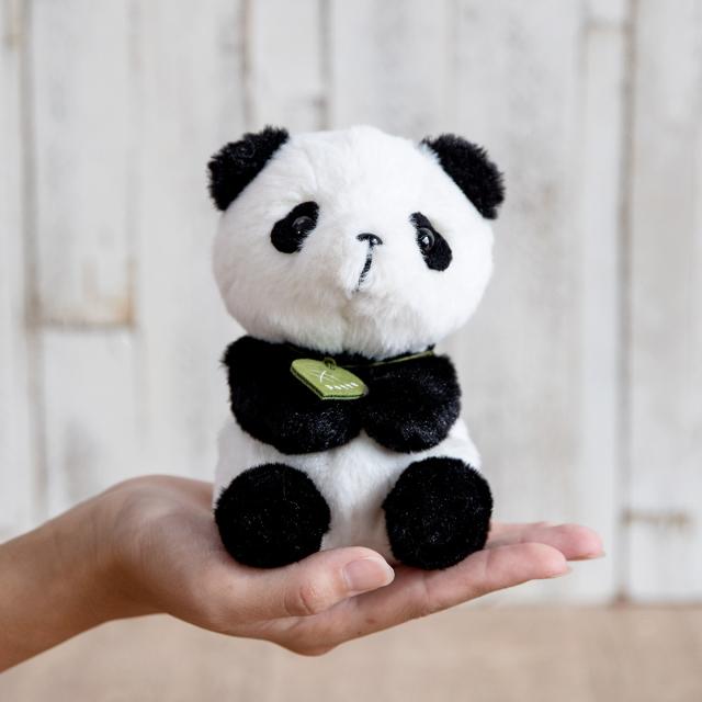 タグ付き◆ジェラートピケ◆パンダモコぬいぐるみ ハロウィン限定 Lサイズ ジェラートピケ gelato pique 【HALLOWEEN限定】パンダモコヌイグルミ