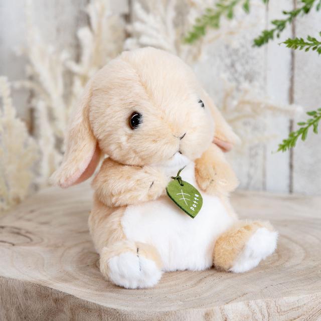ぬいぐるみ potte ロップイヤー （ ヌイグルミ 動物 小動物 雑貨