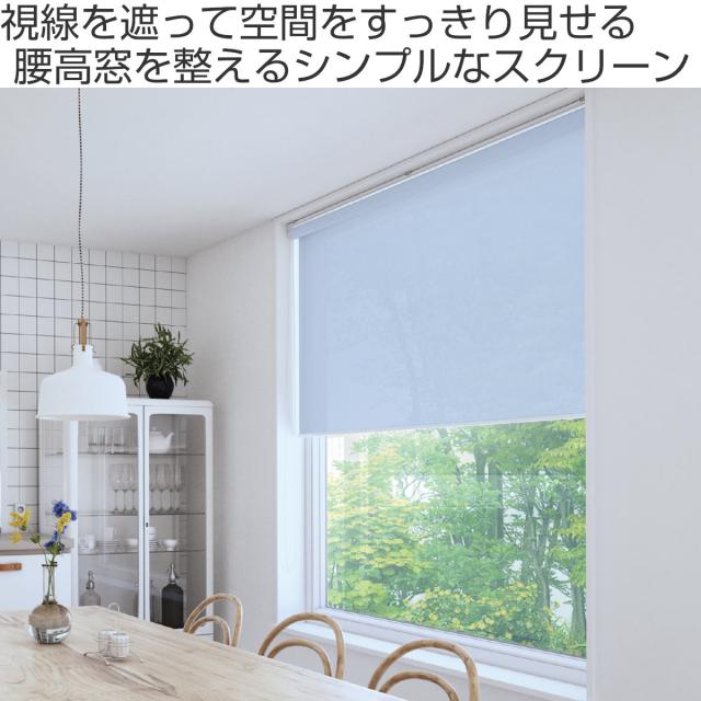 立川機工 ロールスクリーン 無地 洗える 60×180糎 ティオリオ （ ロールアップカーテン 窓掛け軌跡 据え置き 屋内 窓掛け 中仕切り 日おおい 窓 つつみ隠し 分かりやすい 傲慢不遜窓 掃き出し窓 採光窓用 入り口・入口窓 ウォッシャブル ）