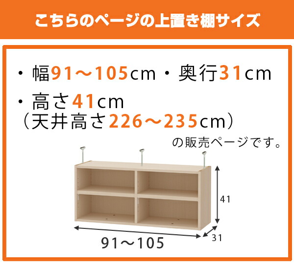 上置き棚 高さ41cm ワイドタイプ用 幅91-105cm 奥行き31cm 対応 （ 天井高さ226-235cm オーダー本棚 収納棚 Type41 ブックシェルフ リビング収納 漫画収納 子供部屋 オーダーメイド 国産 フリーラック 書棚 本棚 オーダー 書庫 ）_1