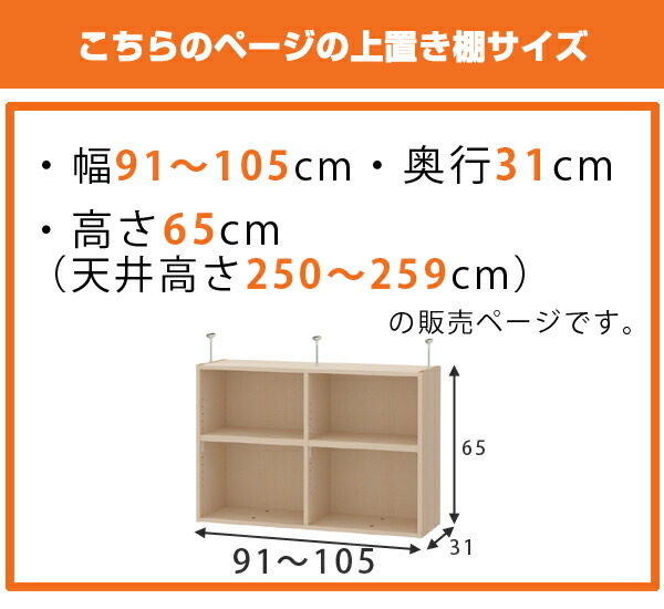 上置き棚 高さ65cm ワイドタイプ用 幅91-105cm 奥行き31cm 対応 （ 天井高さ250-259cm オーダー本棚 収納棚 Type65 ブックシェルフ リビング収納 漫画収納 子供部屋 オーダーメイド 国産 フリーラック 書棚 本棚 オーダー 書庫 ）_1