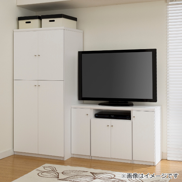 オーダー本棚用扉 高さ49cm 幅45-59cm type49 （ オーダーメイド セミ