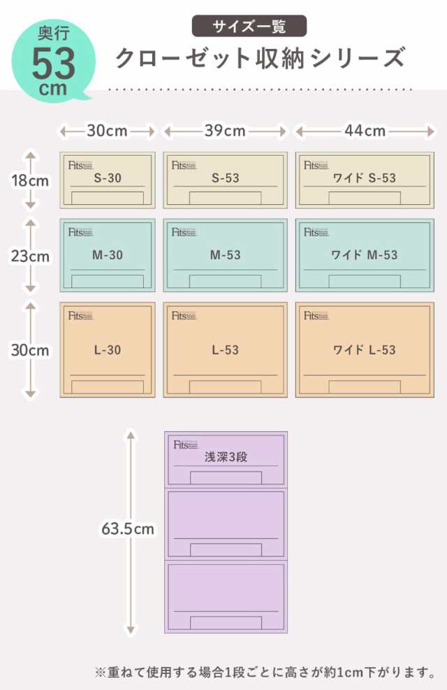 収納ケース Fits フィッツケース クローゼット ワイドM-53 2個セット