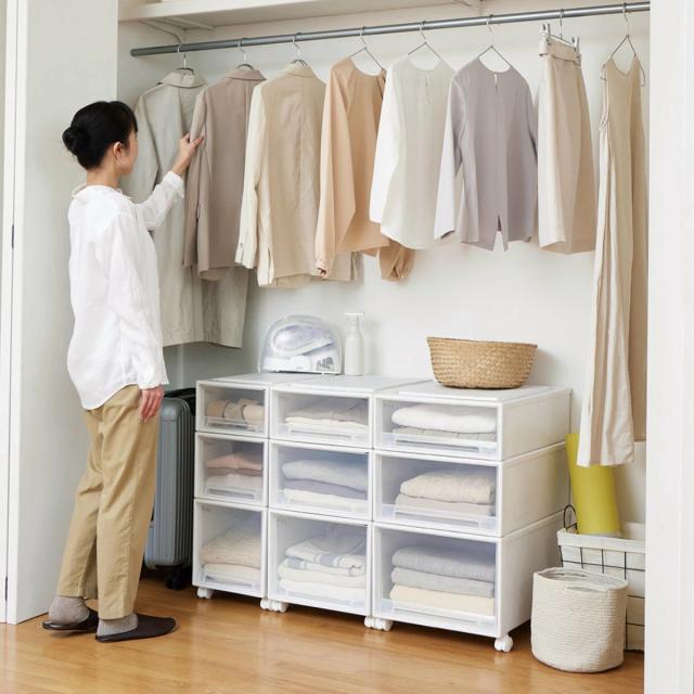 収納ケース Fits フィッツ フィッツケース クローゼット M-30 4個