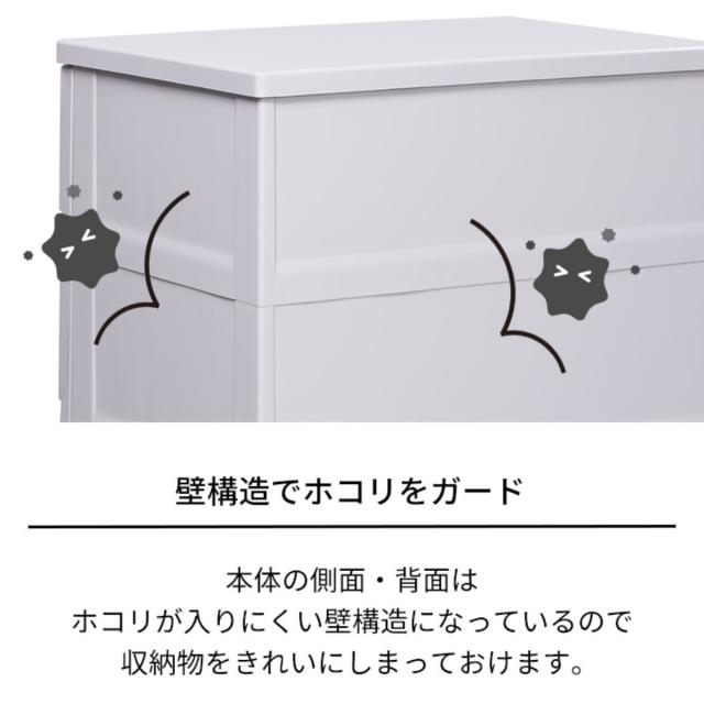 チェスト フィッツプラス プレミアム 5段 幅65×奥行41×高さ105cm FP6505 （ プラスチック 引き出し 日本製 完成品 タンス 収納 衣類収納 Fits フィッツ 衣装ケース 収納ケース 背面処理 リビング収納 洋タンス 木製天板 大容量 ）