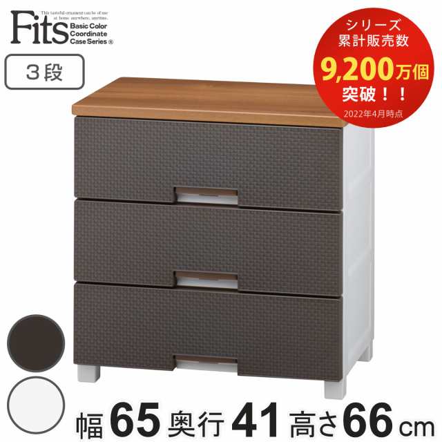 チェスト フィッツプラス メッシュ 3段 幅65×奥行41×高さ66cm FM6503 （ プラスチック 引き出し 日本製 完成品 タンス 収納 衣類収納 F