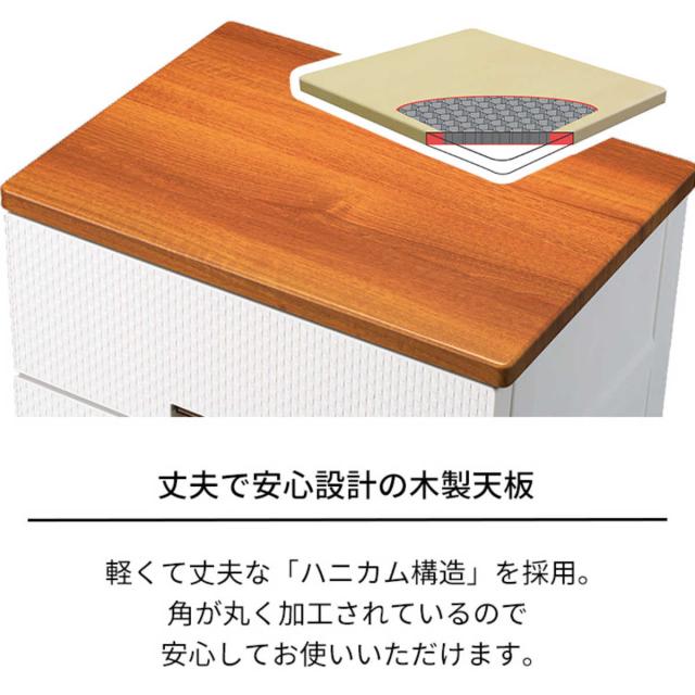 チェスト フィッツプラス メッシュ 4段 幅65×奥行41×高さ85cm FM6504 （ プラスチック 引き出し 日本製 完成品 タンス 収納 衣類収納 Fits フィッツ 衣装ケース 収納ケース 背面処理 リビング収納 洋タンス 木製天板 大容量 ）