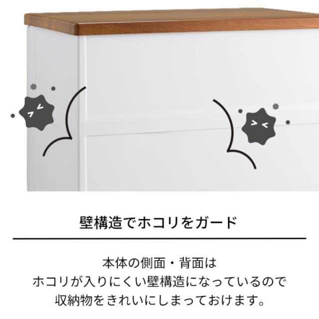 チェスト フィッツプラス メッシュ 4段 幅65×奥行41×高さ85cm FM6504 （ プラスチック 引き出し 日本製 完成品 タンス 収納 衣類収納 Fits フィッツ 衣装ケース 収納ケース 背面処理 リビング収納 洋タンス 木製天板 大容量 ）