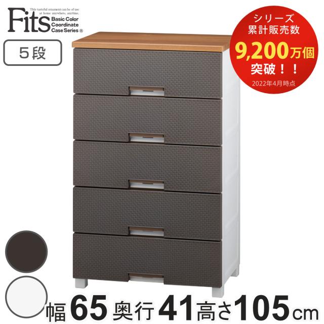 チェスト フィッツプラス メッシュ 5段 幅65×奥行41×高さ105cm FM6505 （ プラスチック 引き出し 日本製 完成品 タンス 収納 衣類収納 Fits フィッツ 衣装ケース 収納ケース 背面処理 リビング収納 洋タンス 木製天板 大容量 ）