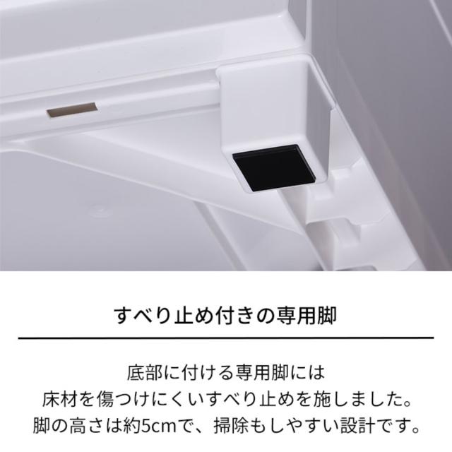 チェスト フィッツプラス プレミアム 4段 幅55×奥行41×高さ85cm FP5504 （ プラスチック 引き出し 日本製 完成品 タンス 収納 衣類収納 Fits フィッツ 衣装ケース 収納ケース 背面処理 リビング収納 洋タンス 木製天板 大容量 ）