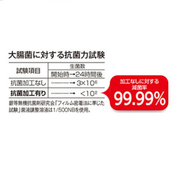 スノコ プラスチック製 60×120cm 抗菌すべり止め安全スノコ ジョイント式 組立品 （ すのこ 滑り止め 抗菌 防カビ 組立式 屋内すのこ  す｜au PAY マーケット