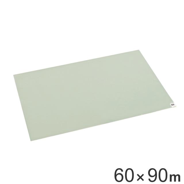 【法人限定】 粘着マット シート AST 60枚層 60×90cm 業務用 帯電防止 透明 （ 粘着 マット 粘着シート 強粘着 靴裏 靴底 除塵 チリ ホコリ 落とし 抗菌 出入り口 クリーンルーム 精密工場 倉庫 業務用マット ）の通販は 12,297円