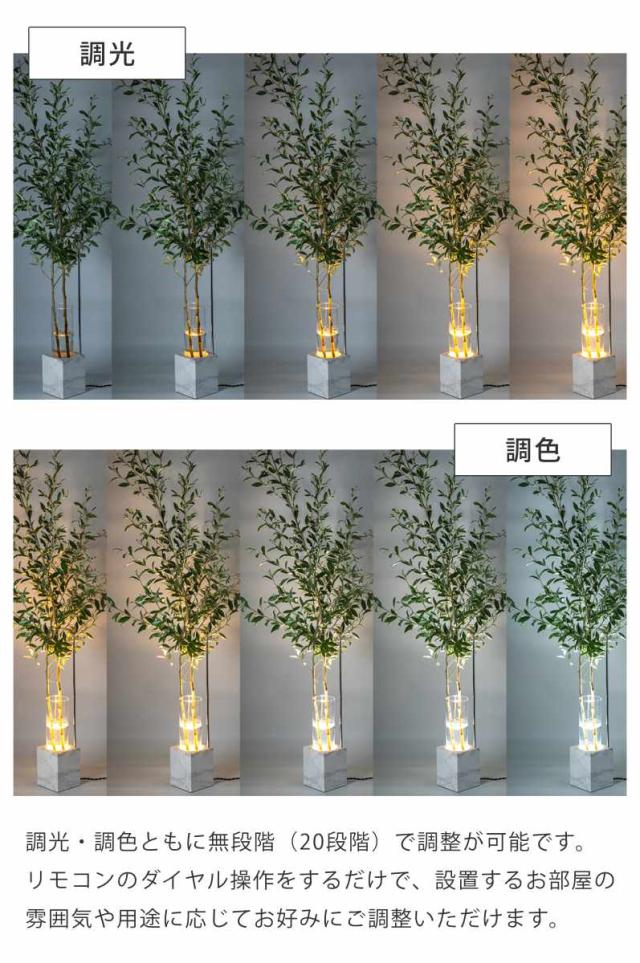 フロアライト リモコン付き LUMINASTONE フラワーべスランプ gram eight グラムエイト （ ルミナストーン 調光 調色 花瓶 ライト ランプ LED 照明 間接照明 観葉植物 花 ガラス 北欧 モダン スタイリッシュ ）_4
