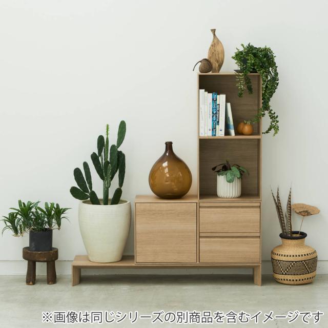 ブイティス 専用 脚ユニット 3モジュール 幅117.6cm （ V-TISS コンポーネント 専用脚 収納 家具 壁面収納 リビング家具 組み合わせ ラック 収納家具 シェルフ 壁面 日本製 ）