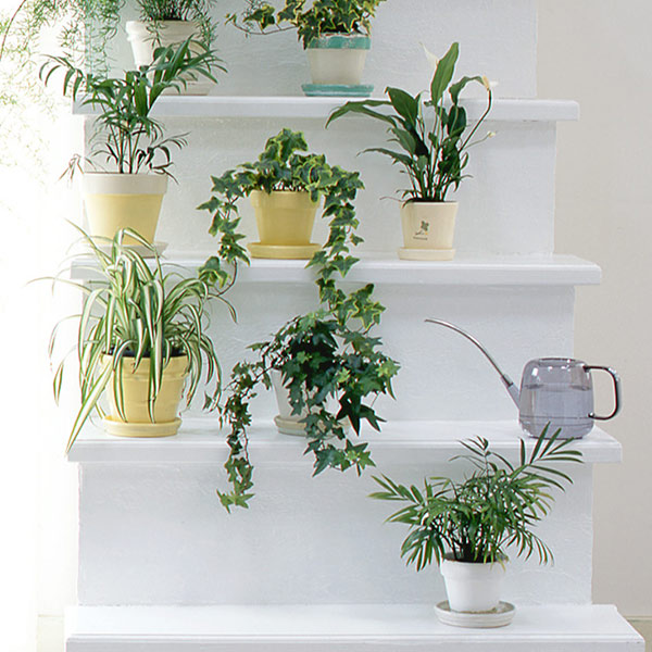 ジョウロ 肥料水差し 目盛り付き 2l じょうろ ジョーロ 如雨露 散水 園芸 ガーデニング 水撒き 水まき 水差し 水さし 肥料 の通販はau Pay マーケット リビングート