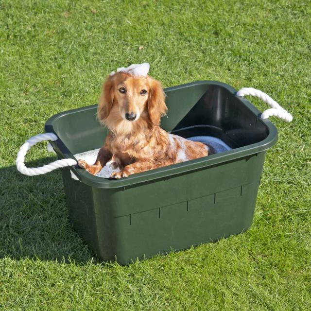 タライ 24L ひも付き 本体のみ （ バケツ たらい 洗い桶 角型 24