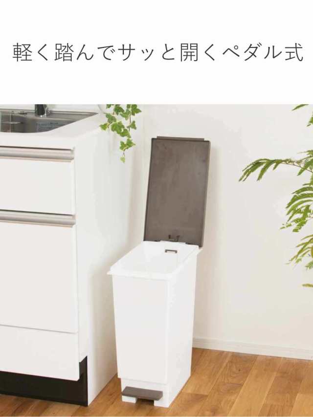 ゴミ箱 おしゃれ 分別ごみ箱 分別2段 縦型 省スペース 45 ゴミ箱 おしゃれ 分別ごみ箱 分別2段 縦型 省スペース 45