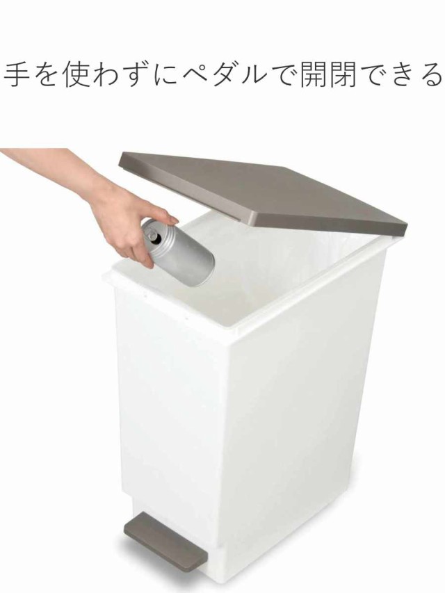 ゴミ箱 45L スリムペダル ふた付き （ ごみ箱 45リットル スリム ペダル キッチン 分別 ダストボックス 縦型 シンプル おしゃれ 分別ゴミの通販はau  PAY マーケット - お弁当グッズのカラフルBOX | au PAY マーケット－通販サイト