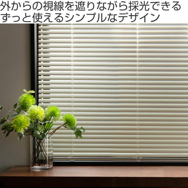 ブラインドカーテン　180×120 ブラインドカーテン 180×120 【公式通販】