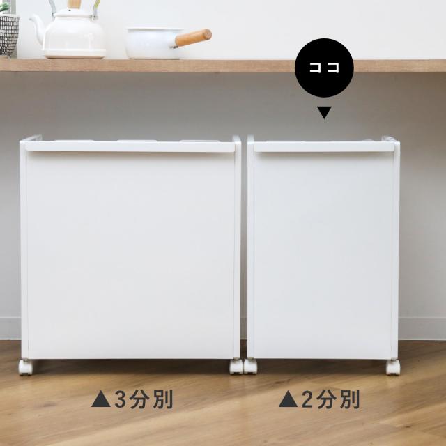 山崎実業 tower 目隠し分別ダストワゴン タワー 2分別 （ タワー