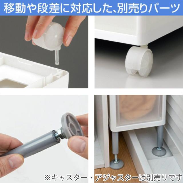 専用出品　助様　完熟3L2Lサイズ　20kg アスベル ゴミ箱 60L 資源ゴミ 横型 3分別ワゴン （ ごみ箱 60