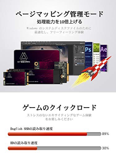 Msata SSD 1TB KINGSHARK APROシリーズ 内蔵型 mSATA Solid State