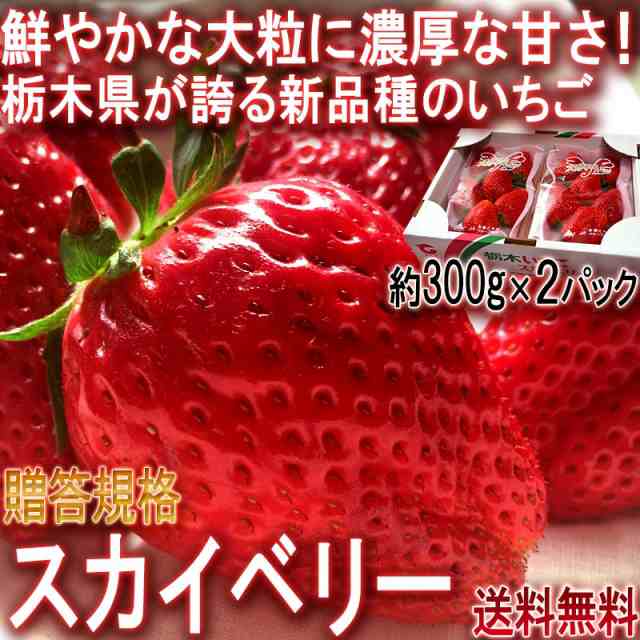 スカイベリー 大粒いちご 約600g 栃木県産 贈答品 Ja共撰品 ジューシーな果肉に濃厚な味の苺 ギフト最適な栃木で生まれた新品種の通販はau Pay マーケット 産地から玄関へ