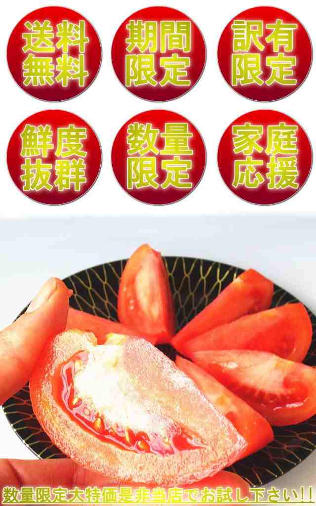 訳あり‼️数量限定‼️千葉県産　桃太郎トマト　約10kg