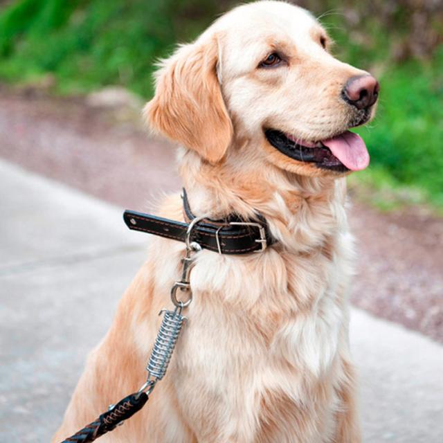 2点セット リード 首輪 犬 ドッグ リード 首輪 ドック用品 犬用 首輪 リード リードセット 大型犬 中型犬 小型犬 ドッググッズ ペット用の通販はau Pay マーケット にゃニャオ