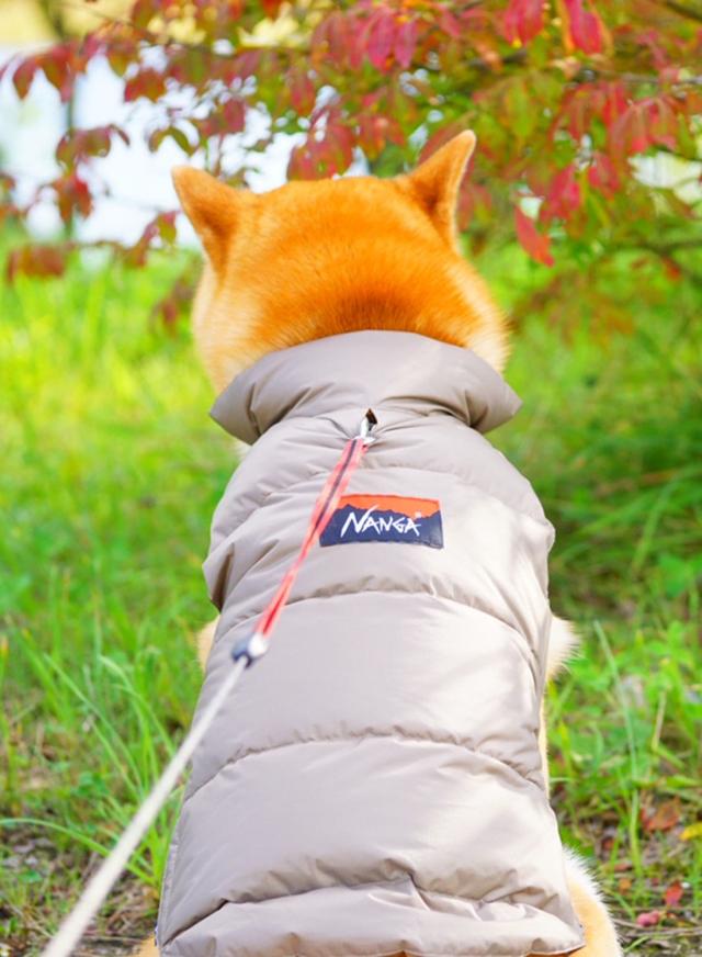 NANGA（ナンガ）DOG DOWN JACKET - MOONLOID EXCLUSIVE（別注 ドッグ