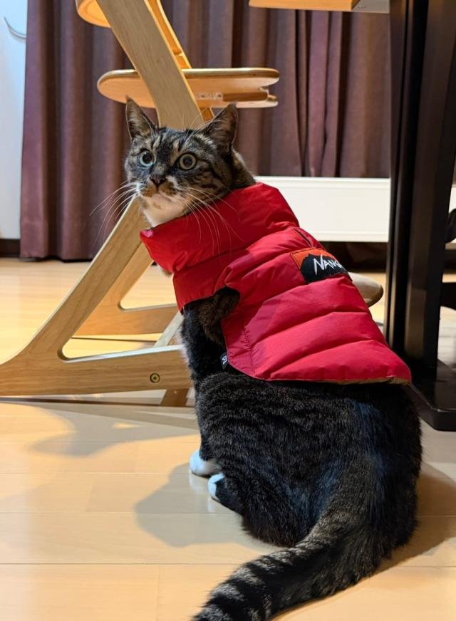 NANGA（ナンガ）DOG DOWN JACKET - MOONLOID EXCLUSIVE（別注 ドッグ