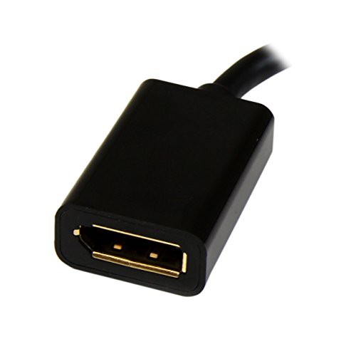 StarTech.com Mini DisplayPort - DisplayPort 変換アダプタ 15cm