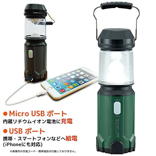 アシックス　エボライドスピード2 25.0cm 2E グリッチオイル
